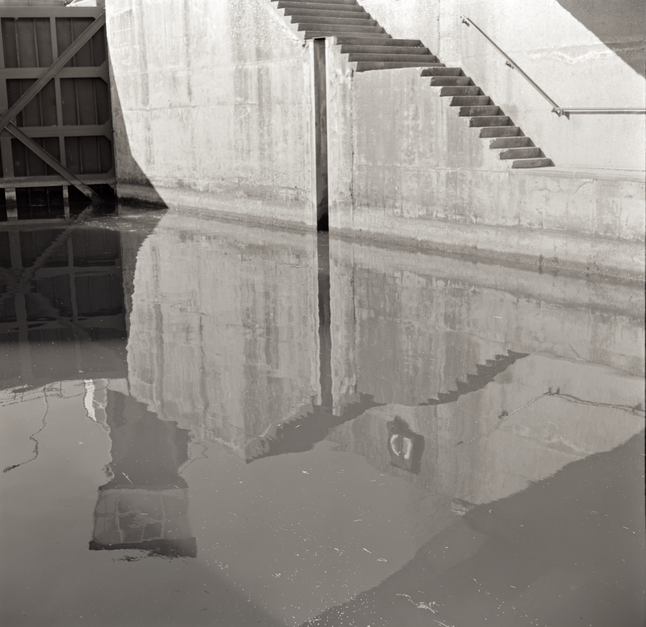 AHP FilmScan 240808 0986